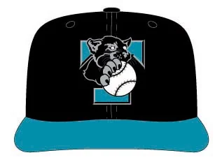 Tyler WildCatters cap: black crown with a teal brim and a wildcat gripping a baseball over a teal T